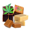 Fudge (10 Pack) - Salted Caramel