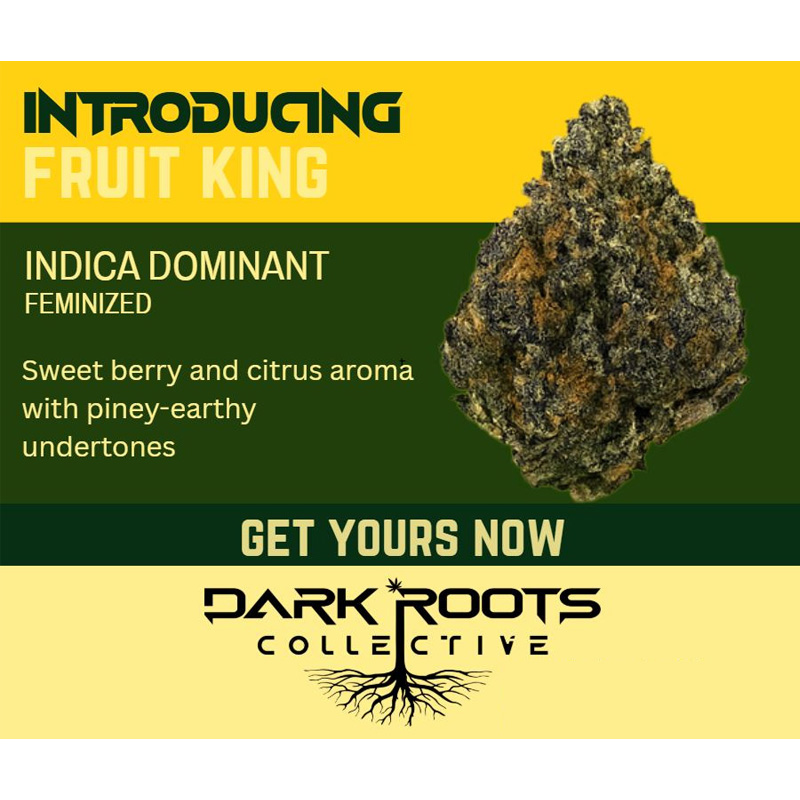 Fruit King.jpg