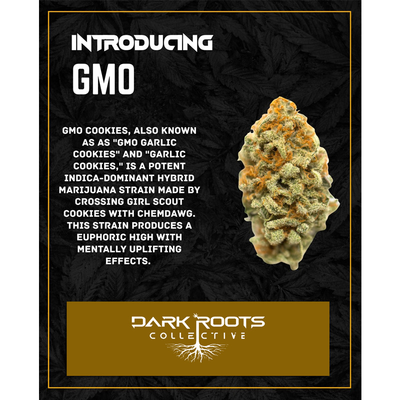 GMO.jpg