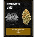GMO.jpg